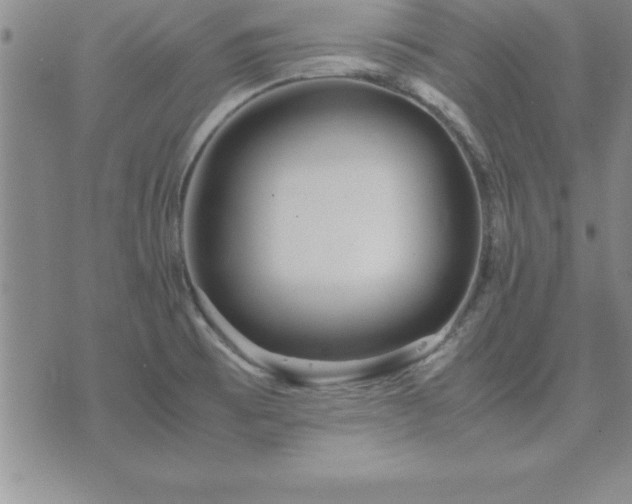 X0000075841473200609221652