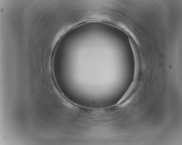 X0000075841477200609221652