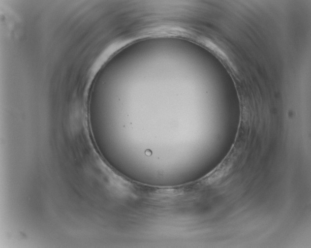 X0000075841478200609221652