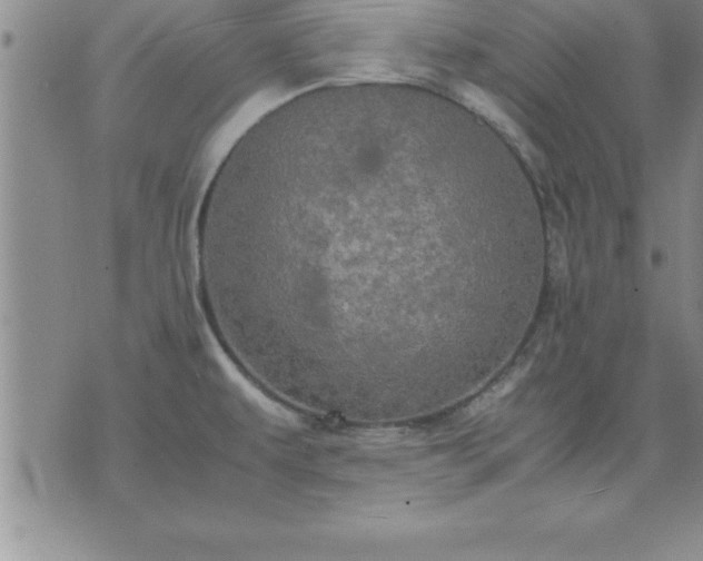 X0000075841479200609221652