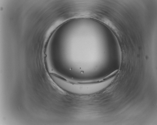 X0000075841480200609221652