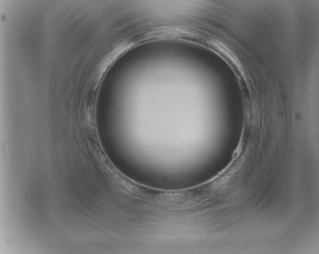 X0000075841481200609221652