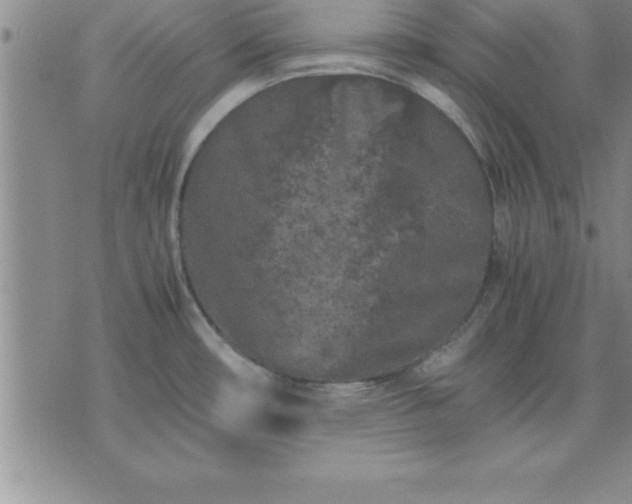 X0000075841482200609221652