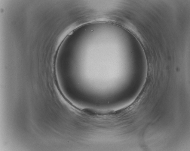 X0000075841483200609221652