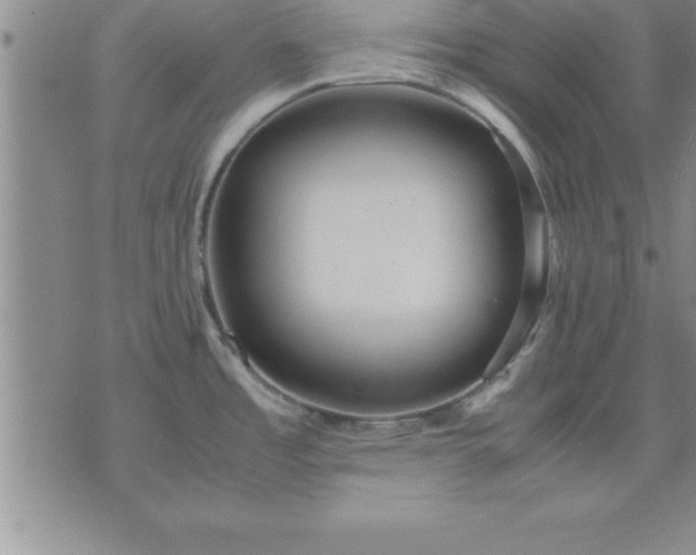 X0000075841485200609221652