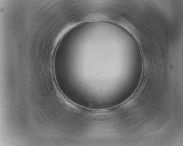 X0000075841486200609221652