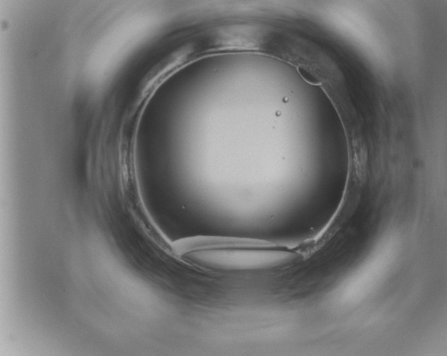 X0000075841487200609221652