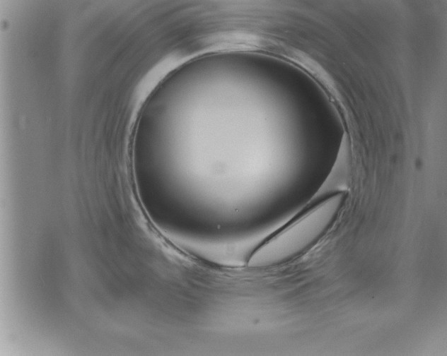 X0000075841488200609221652