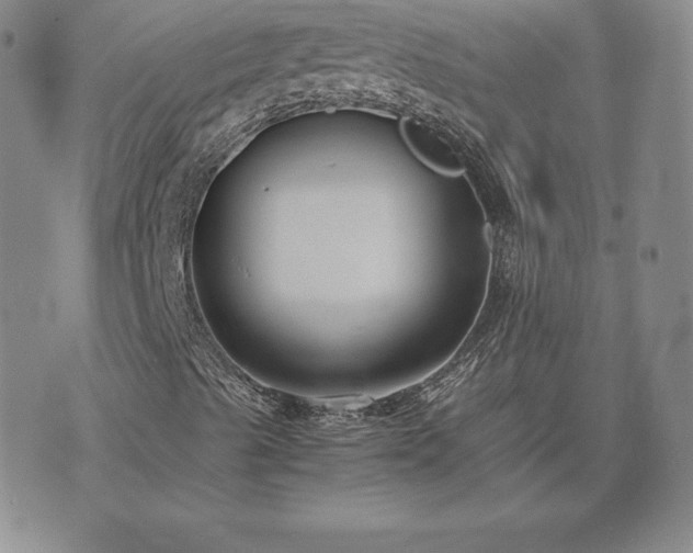 X0000075841489200609221651