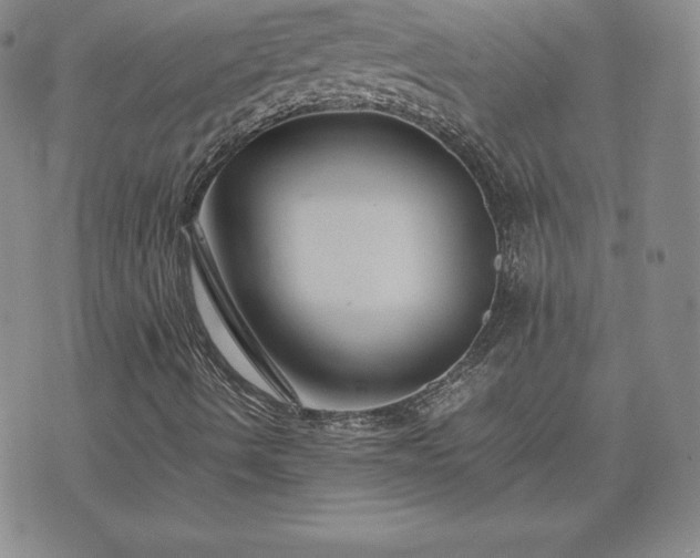 X0000075841490200609221651