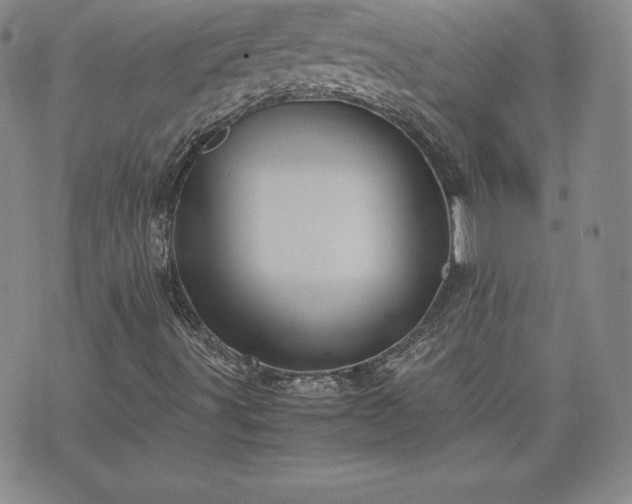 X0000075841491200609221651