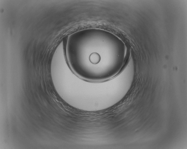 X0000075841492200609221651