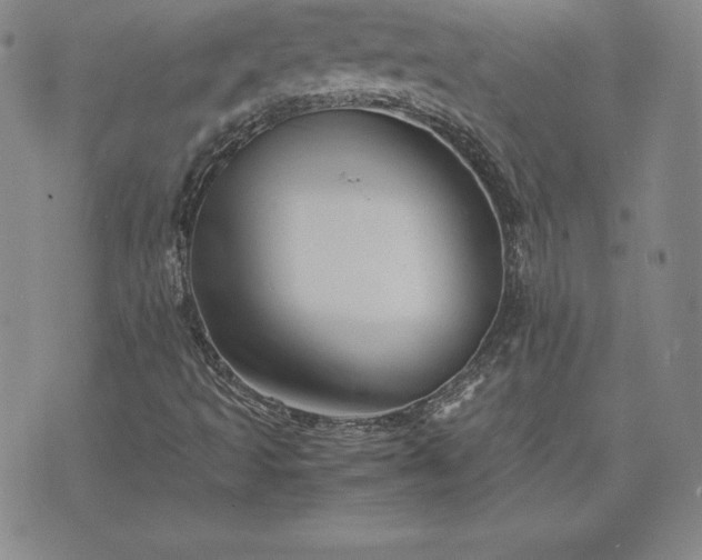 X0000075841493200609221652