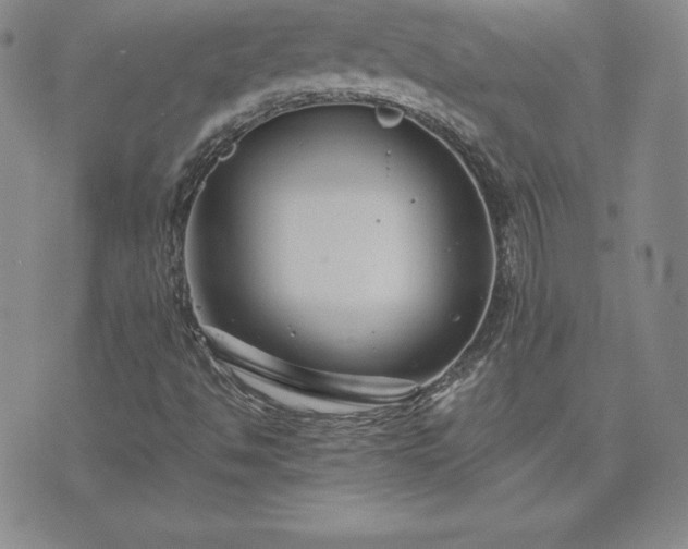 X0000075841494200609221652