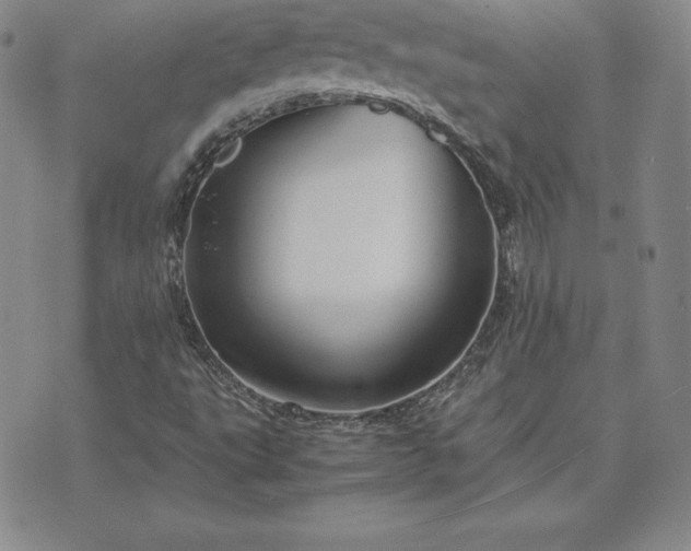 X0000075841495200609221652