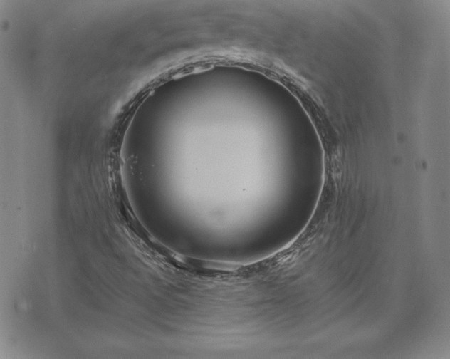 X0000075841496200609221652