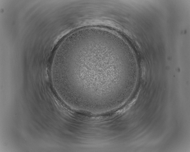 X0000075841497200609221652