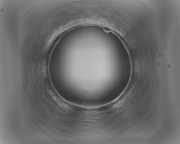 X0000075841499200609221652