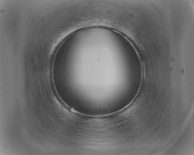 X0000075841500200609221652