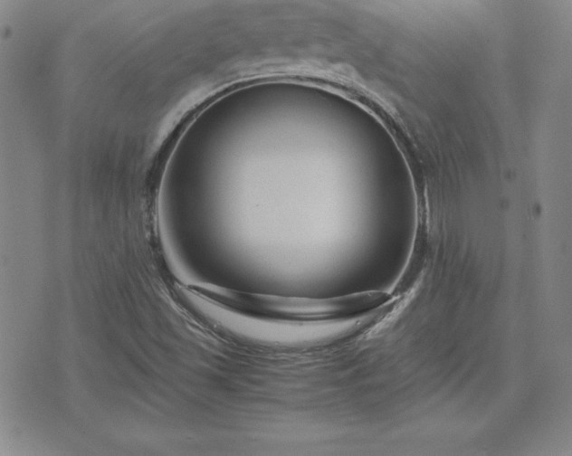 X0000075841501200609221652