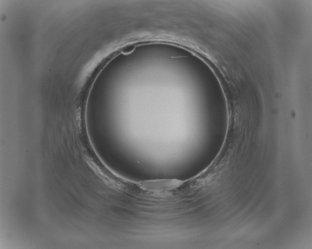 X0000075841503200609221652