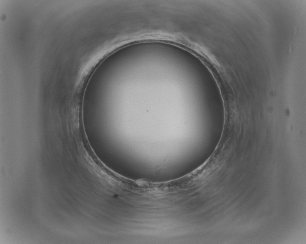 X0000075841504200609221652