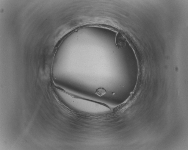 X0000075841505200609221652