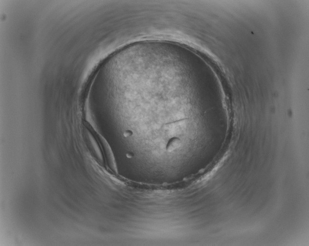 X0000075841506200609221652