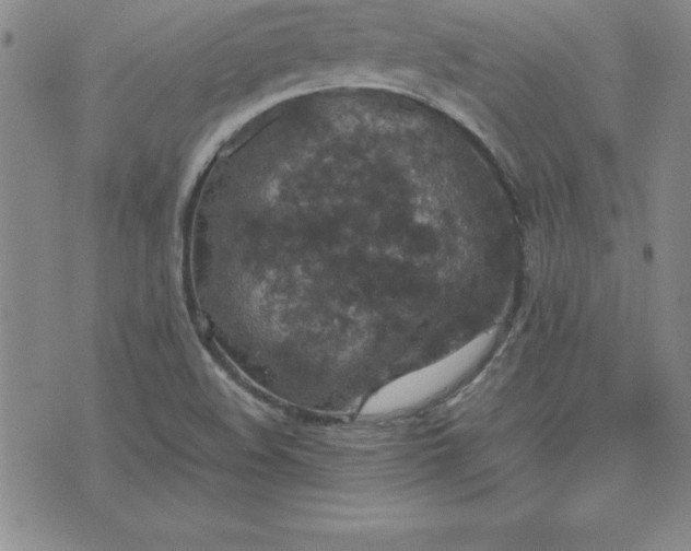 X0000075841508200609221652