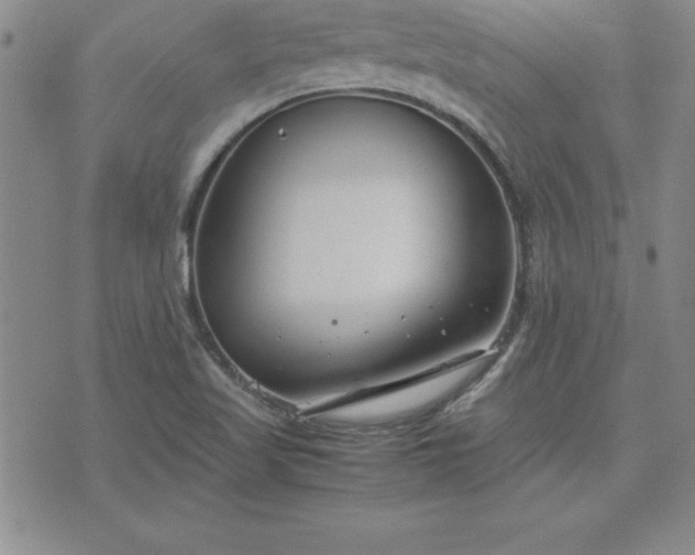 X0000075841509200609221652