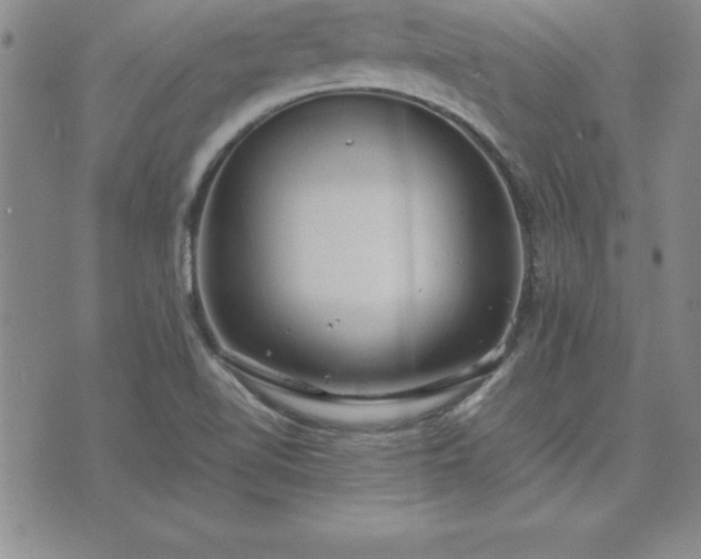 X0000075841510200609221652