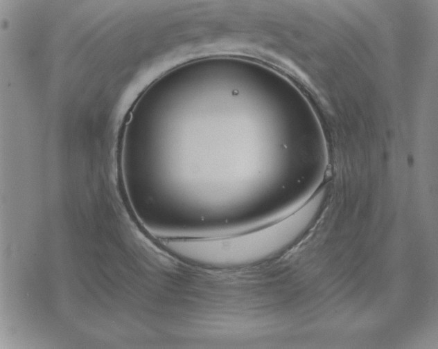 X0000075841512200609221652