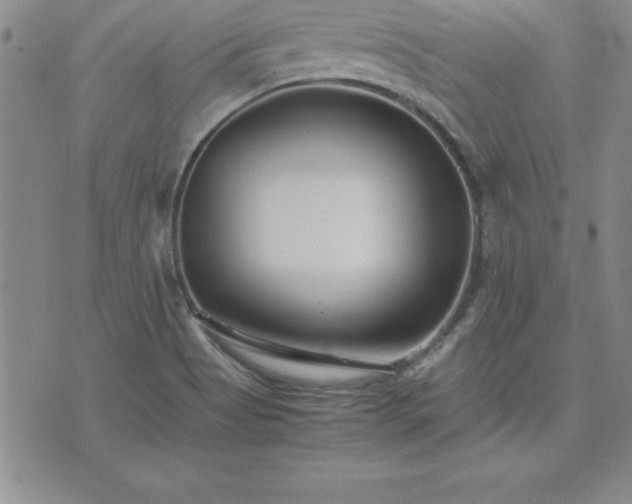 X0000075841513200609221652