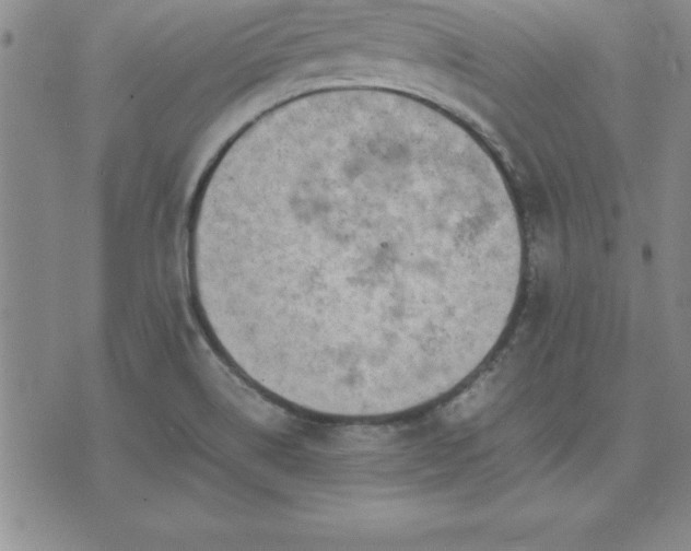 X0000075841514200609221652