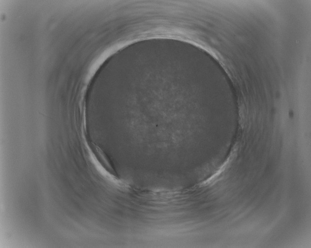 X0000075841515200609221652