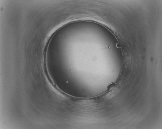 X0000075841518200609221652