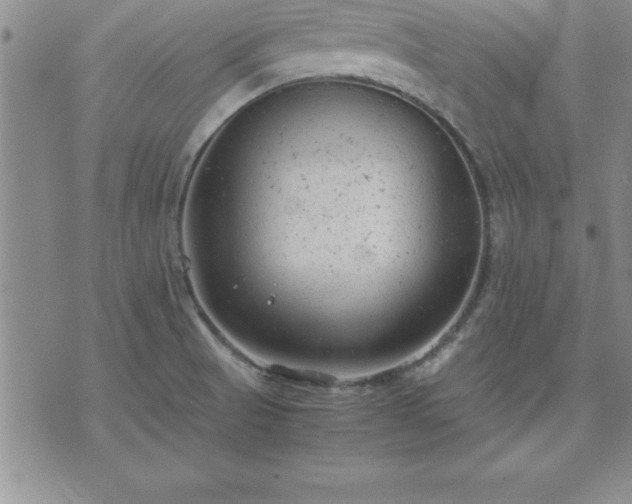 X0000075841521200609221652