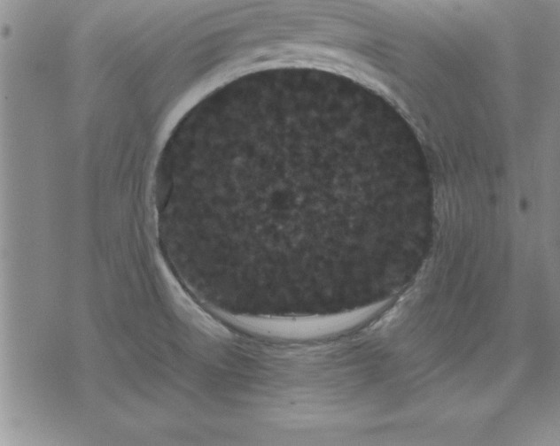 X0000075841522200609221652