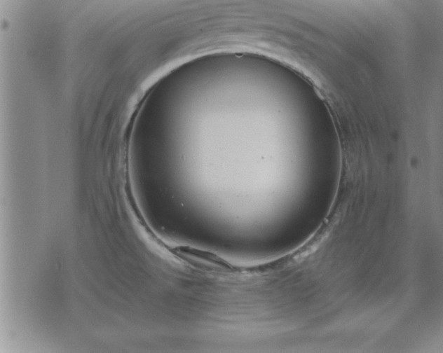 X0000075841526200609221652