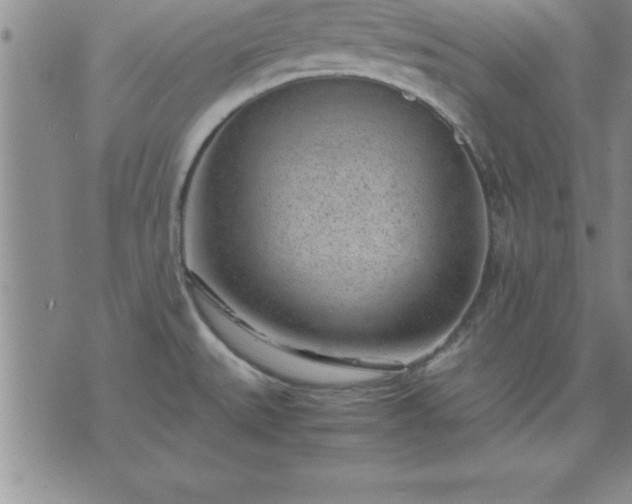 X0000075841527200609221652