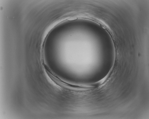 X0000075841528200609221652