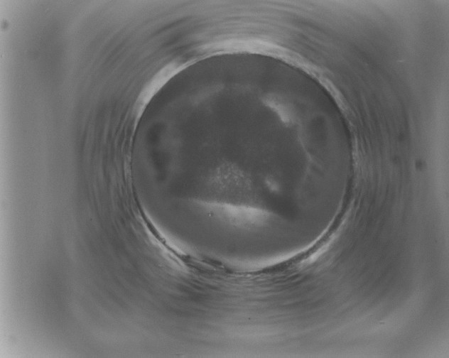 X0000075841529200609221652