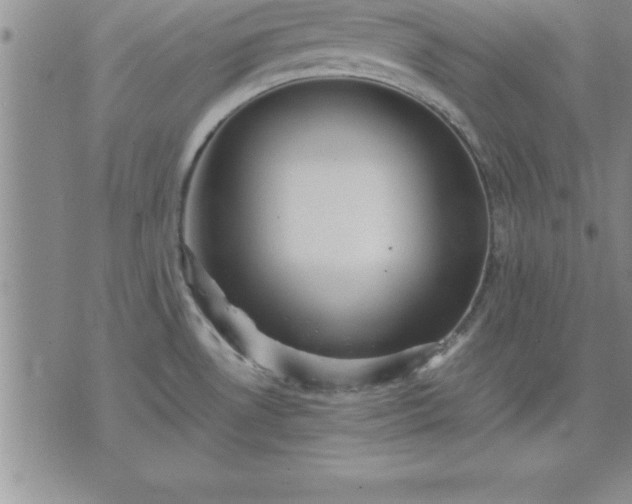 X0000075841530200609221652