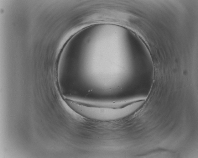 X0000075841531200609221652