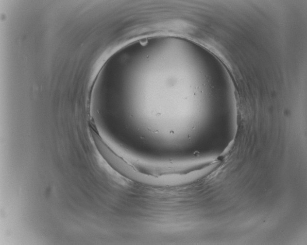 X0000075841532200609221652