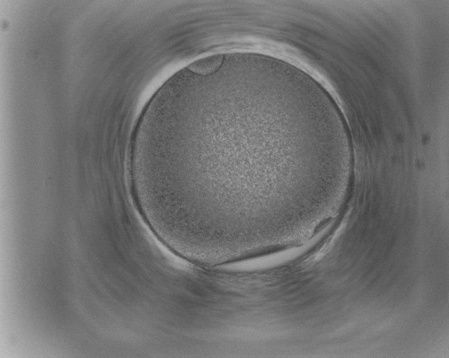 X0000075841533200609221652