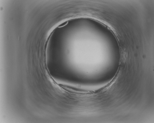 X0000075841534200609221652