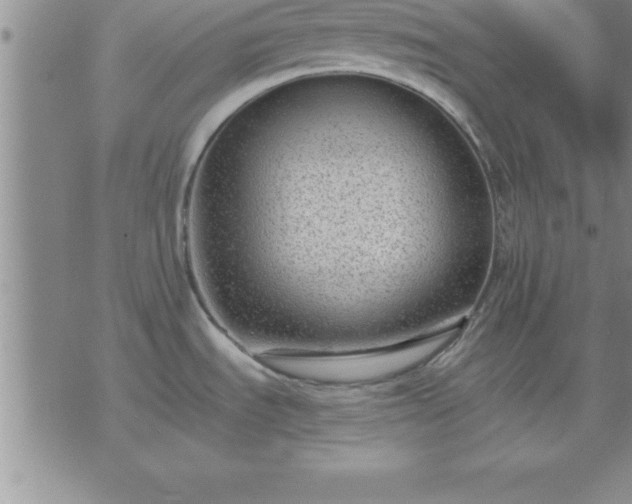 X0000075841535200609221652