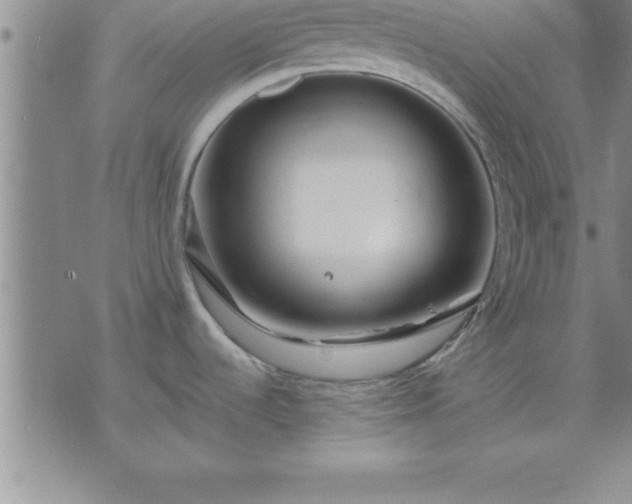 X0000075841536200609221652