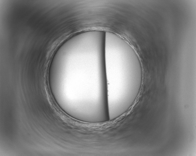 X0000075840001200609291450